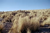 The immense deserted mountains landscape of Arequipa region